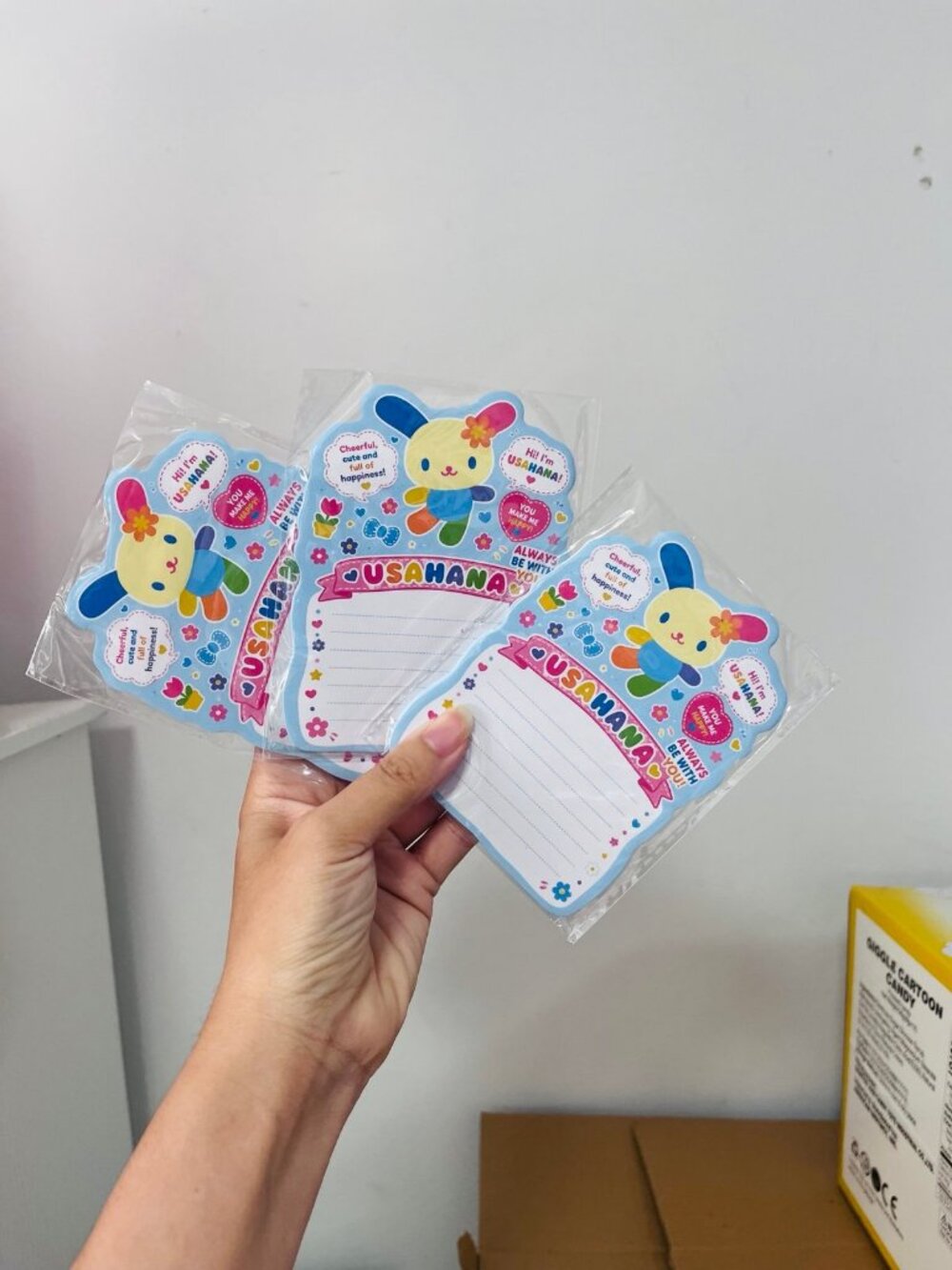 Sanrio 3 pc Usahana note pad